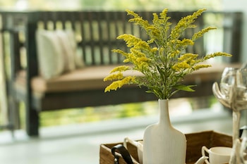 maraya hotel and resort