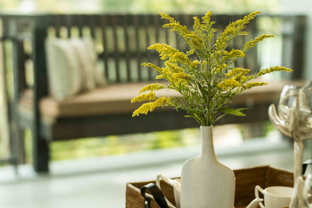 maraya hotel and resort