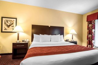 comfort inn and suites