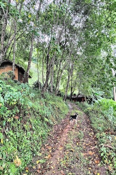 doi pumuen lahu homestay