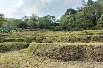 doi pumuen lahu homestay