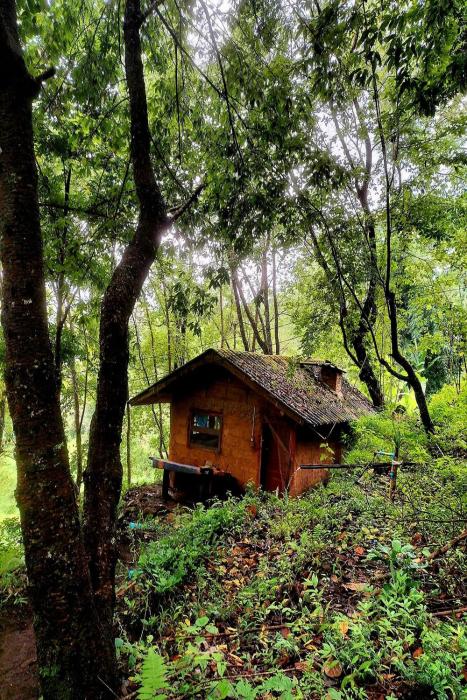 doi pumuen lahu homestay
