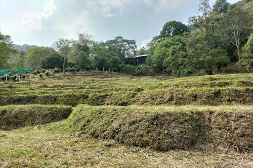 doi pumuen lahu homestay