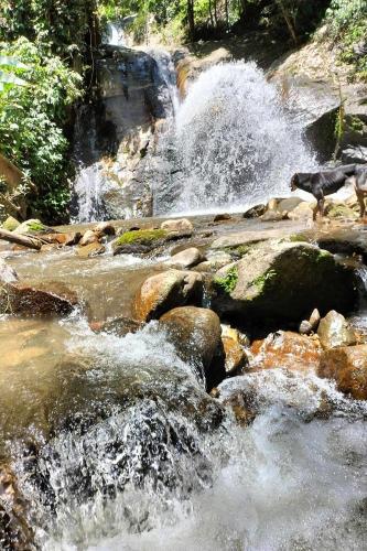 doi pumuen lahu homestay