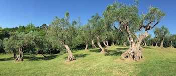 villa monacelli