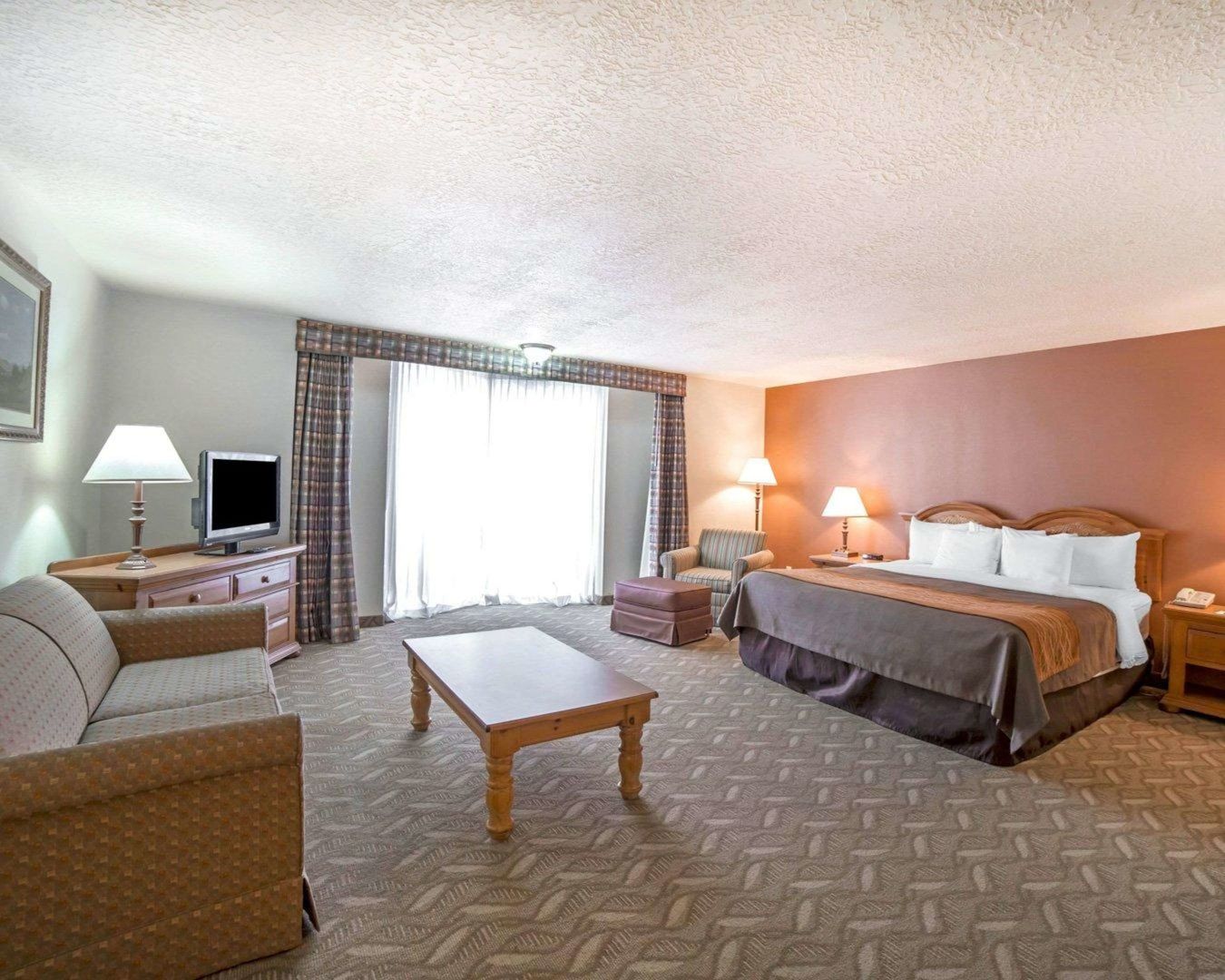 comfort inn downtown