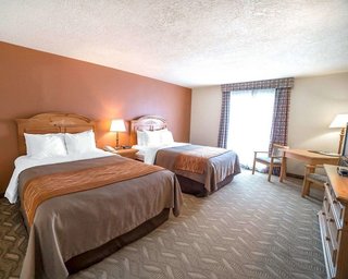 comfort inn downtown