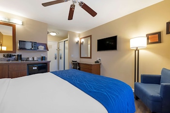 comfort inn gaslamp convention center