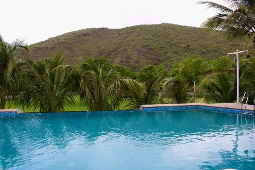 the divine hills resort udaipur