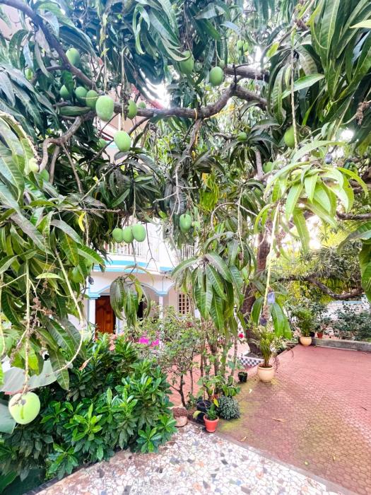 aamra ghar by evaddo stays