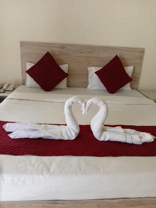 the anandvan palace