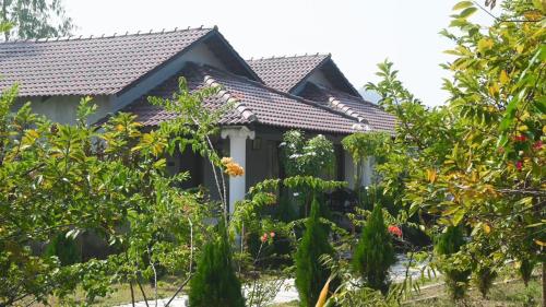 Tuli Orchid - A Boutique Eco Resort,,5 star