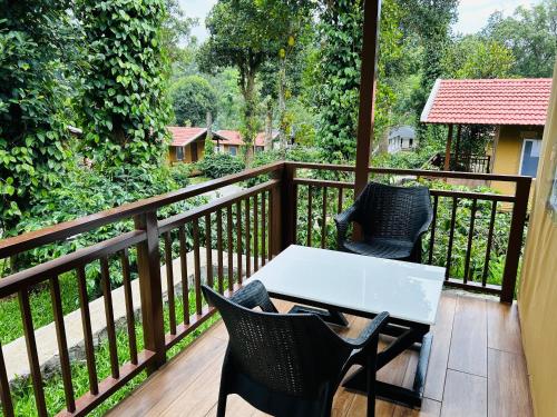ama stays and trails heavens ledge yercaud