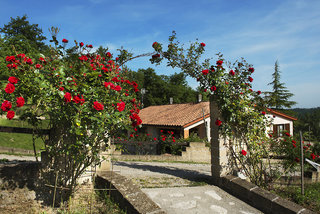 LandMark-Image