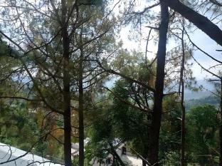 the pine view home stay