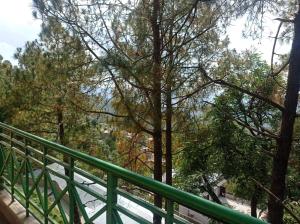 the pine view home stay
