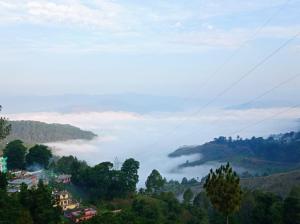 almora