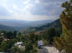the pine view home stay