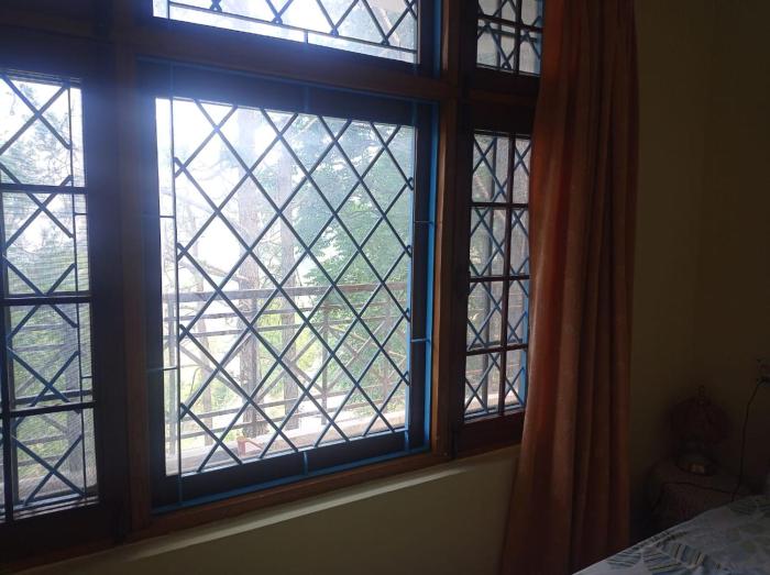 the pine view home stay
