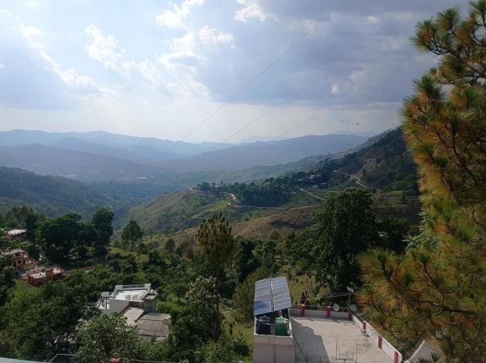 the pine view home stay