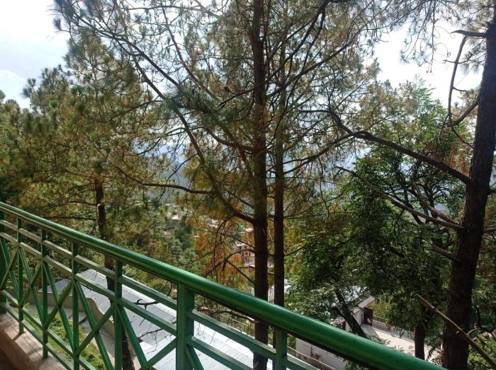 the pine view home stay