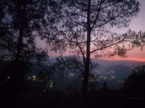 the pine view home stay