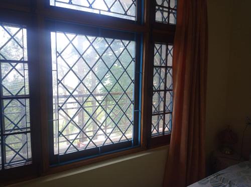 the pine view home stay