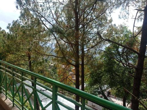 the pine view home stay