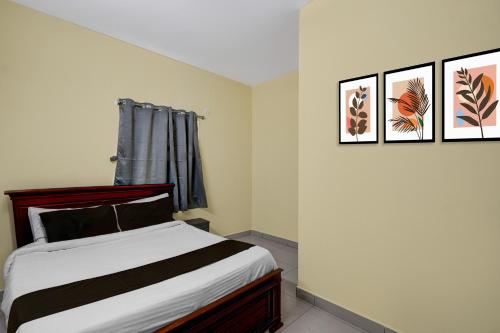hotel o nexus