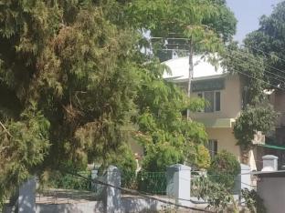 chinar residency dharamshala himachal pradesh