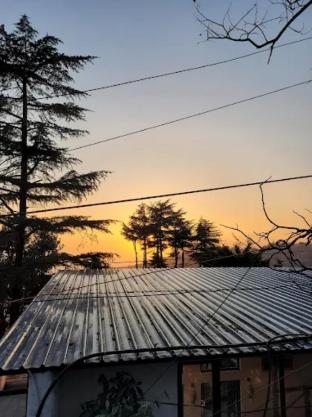 chinar residency dharamshala himachal pradesh