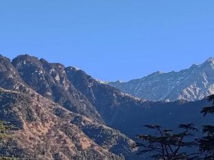 chinar residency dharamshala himachal pradesh