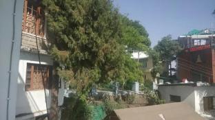 chinar residency dharamshala himachal pradesh