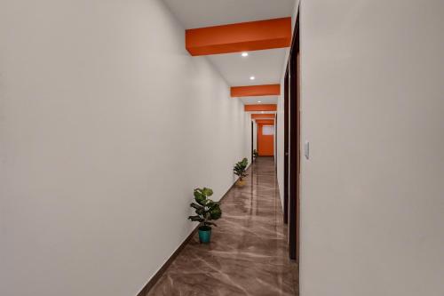 collection o hotel orange tree