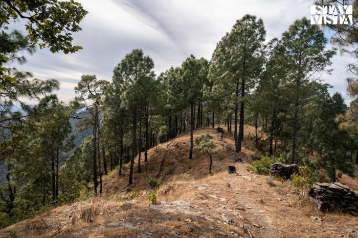 stayvista at hill top heaven