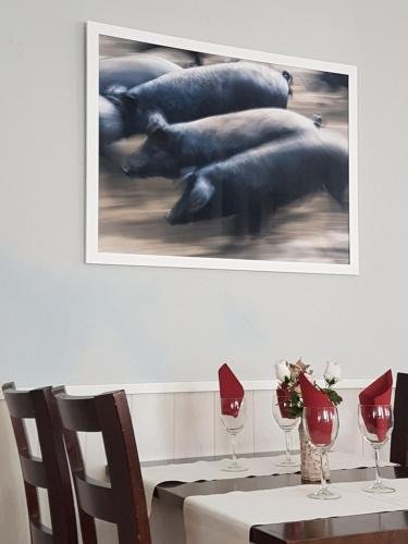 hotel restaurante moya