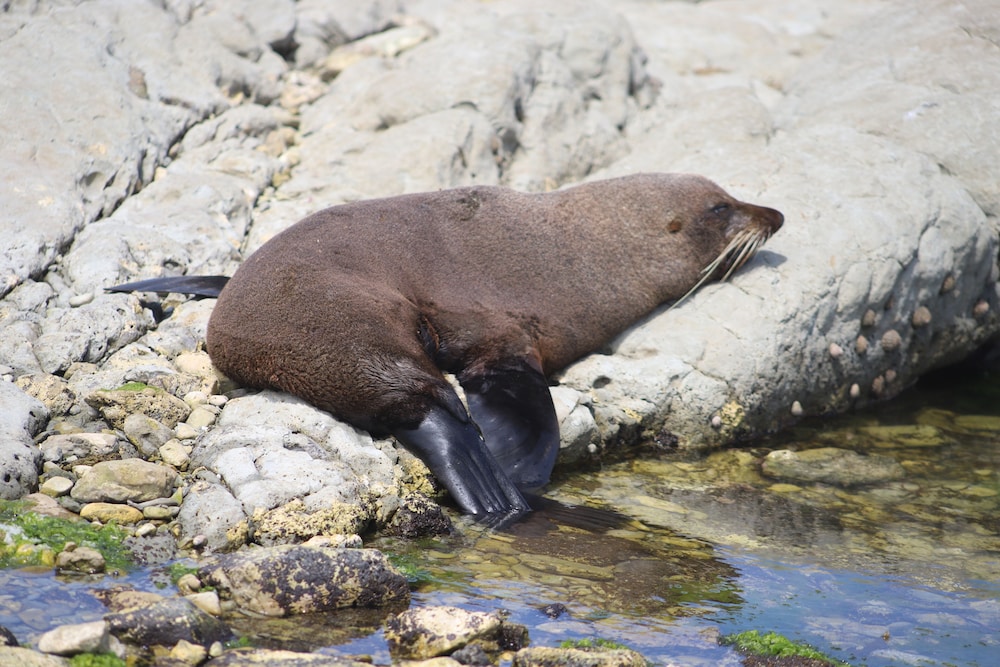 sierra beachfront motel
