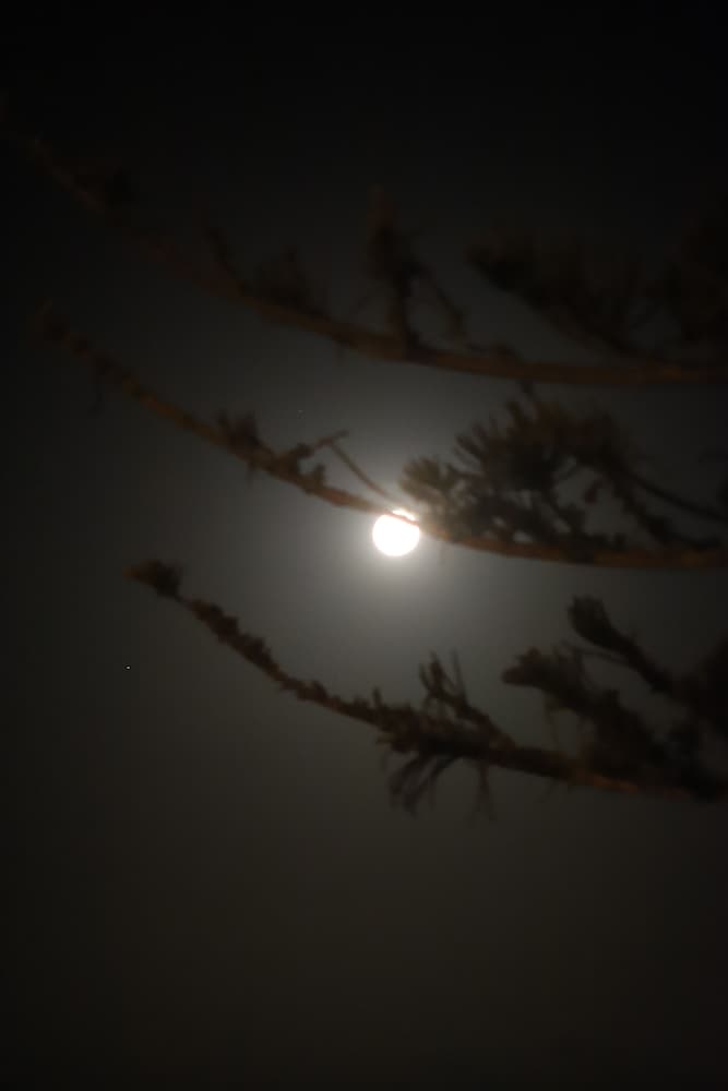 sierra beachfront motel