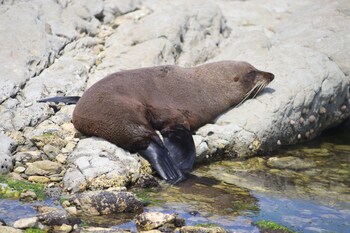 sierra beachfront motel