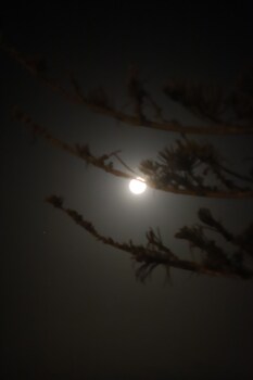 sierra beachfront motel