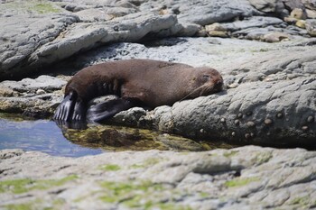sierra beachfront motel