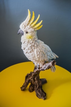 darlo bar darlinghurst