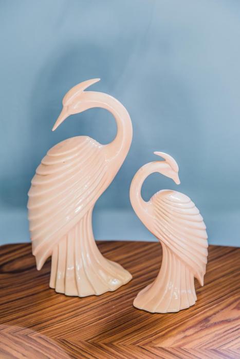 darlo bar darlinghurst