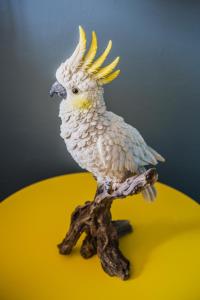 darlo bar darlinghurst