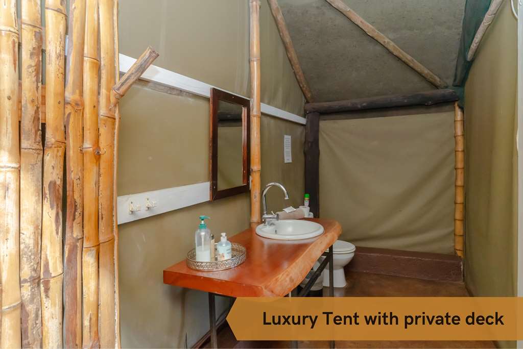 crocodile bridge safari lodge