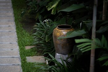 Muntri Grove,Penang>>George Town,3 star