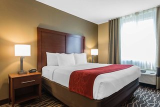 Comfort Suites Tampa Airport North,Egypt Lake-Leto>>Beach Walk,3 star