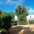 sunvalley homestay