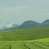 sunvalley homestay