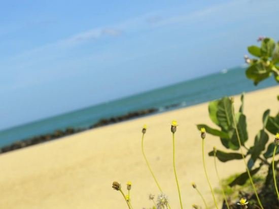 coco palm villa and cabanas